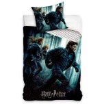 Harry Potteri voodipesu komplekt 140x200 cm